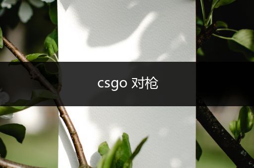 csgo 对枪