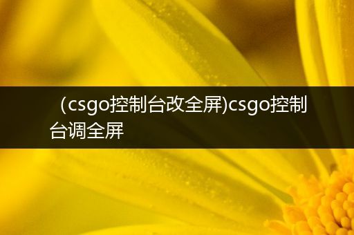 （csgo控制台改全屏)csgo控制台调全屏