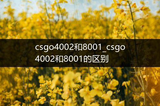 csgo4002和8001_csgo4002和8001的区别