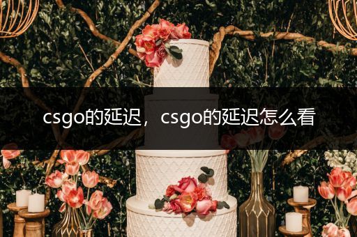 csgo的延迟，csgo的延迟怎么看