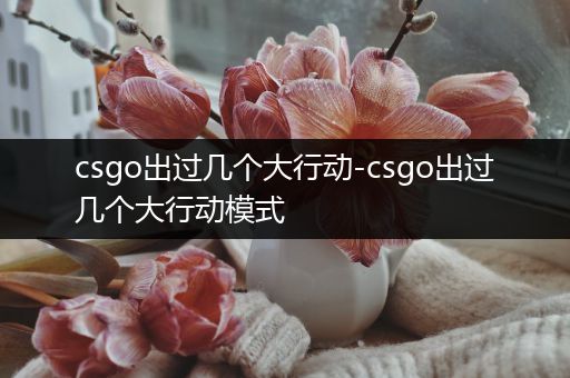 csgo出过几个大行动-csgo出过几个大行动模式