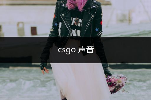 csgo 声音