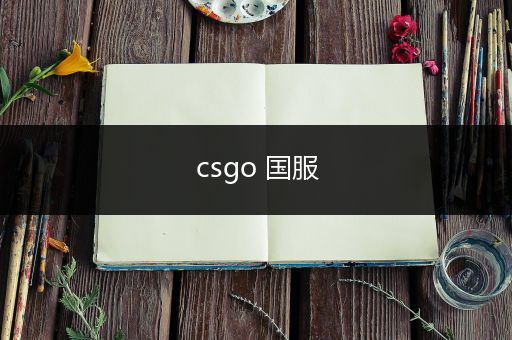 csgo 国服