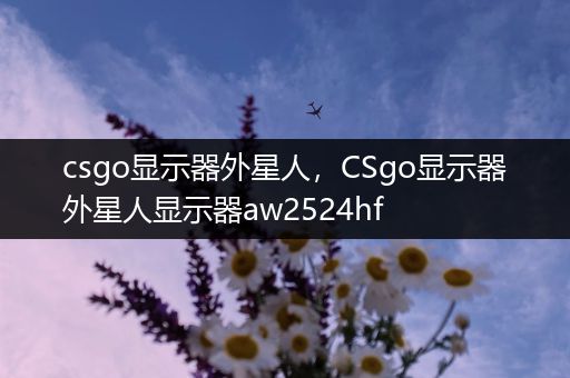 csgo显示器外星人，CSgo显示器外星人显示器aw2524hf