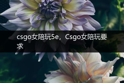 csgo女陪玩5e，Csgo女陪玩要求