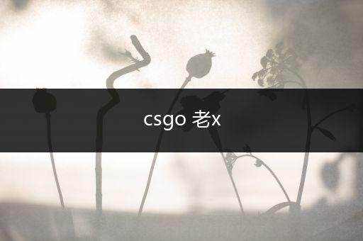 csgo 老x