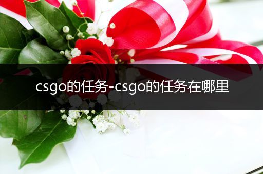 csgo的任务-csgo的任务在哪里