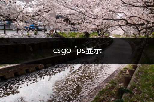 csgo fps显示