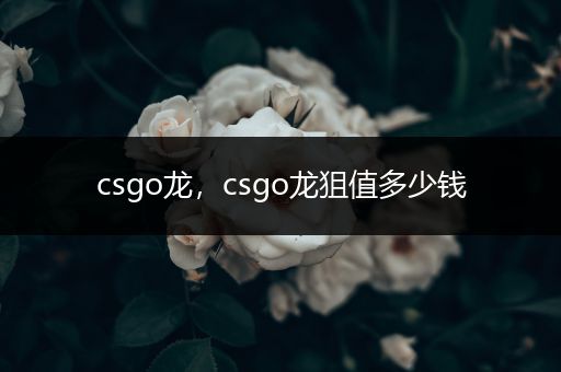 csgo龙，csgo龙狙值多少钱