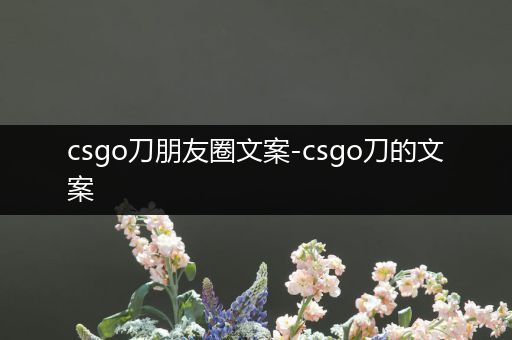 csgo刀朋友圈文案-csgo刀的文案