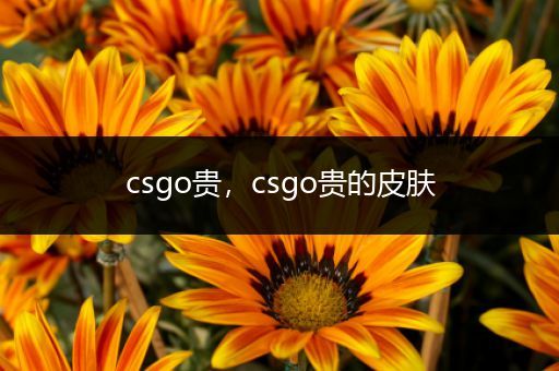 csgo贵，csgo贵的皮肤