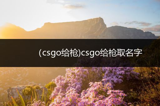 （csgo给枪)csgo给枪取名字