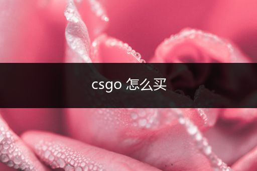 csgo 怎么买