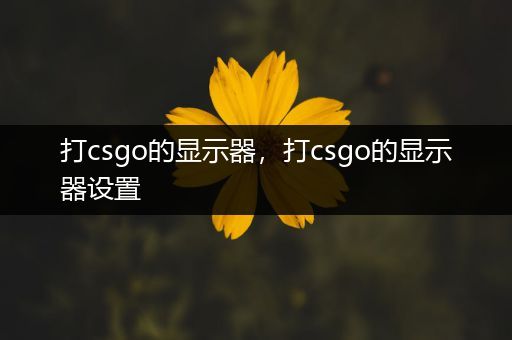 打csgo的显示器，打csgo的显示器设置