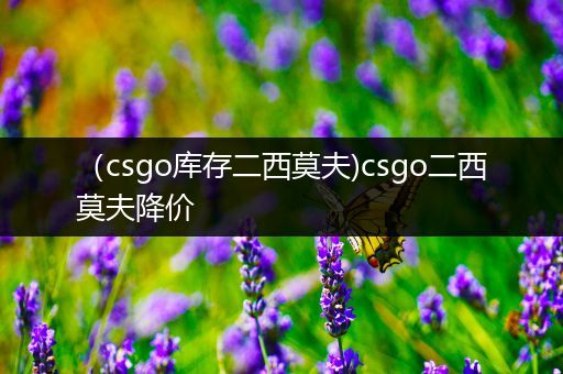 （csgo库存二西莫夫)csgo二西莫夫降价