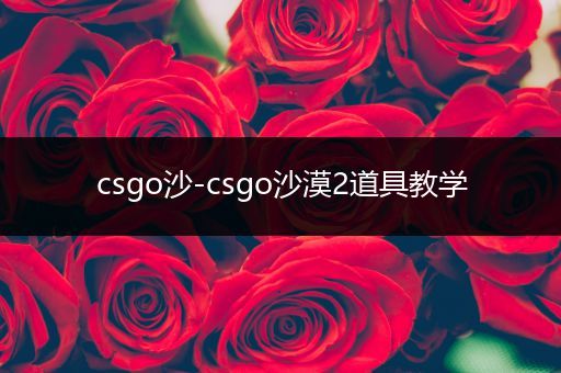 csgo沙-csgo沙漠2道具教学