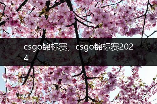 csgo锦标赛，csgo锦标赛2024