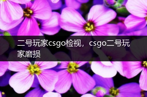 二号玩家csgo检视，csgo二号玩家磨损