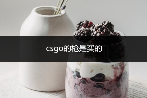 csgo的枪是买的