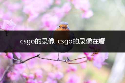 csgo的录像_csgo的录像在哪