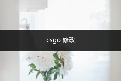 csgo 修改