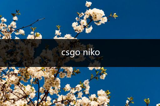 csgo niko