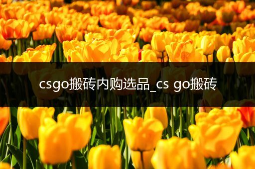 csgo搬砖内购选品_cs go搬砖