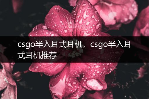 csgo半入耳式耳机，csgo半入耳式耳机推荐