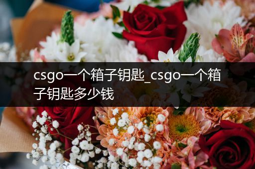 csgo一个箱子钥匙_csgo一个箱子钥匙多少钱