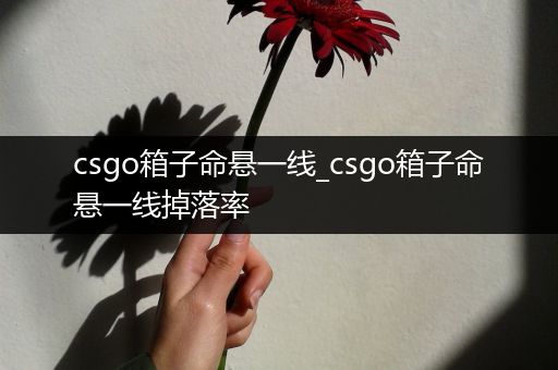 csgo箱子命悬一线_csgo箱子命悬一线掉落率