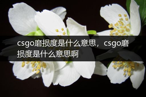 csgo磨损度是什么意思，csgo磨损度是什么意思啊