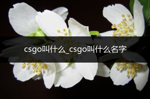 csgo叫什么_csgo叫什么名字