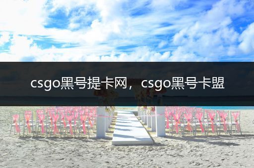 csgo黑号提卡网，csgo黑号卡盟