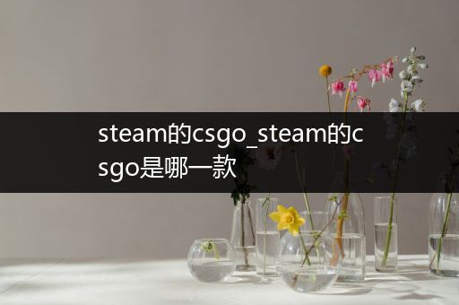 steam的csgo_steam的csgo是哪一款