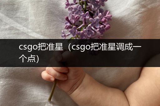 csgo把准星（csgo把准星调成一个点）