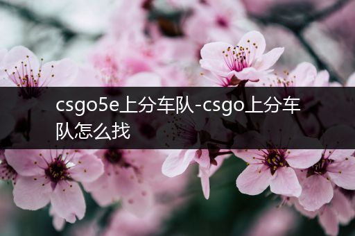 csgo5e上分车队-csgo上分车队怎么找