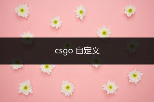 csgo 自定义