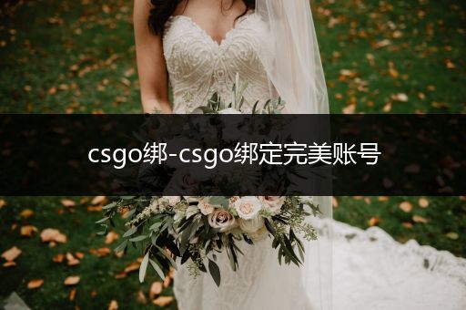 csgo绑-csgo绑定完美账号