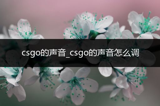 csgo的声音_csgo的声音怎么调