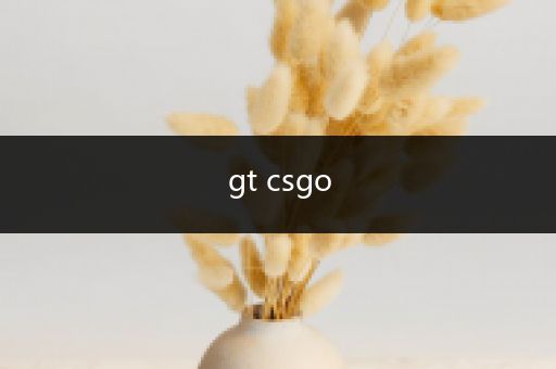 gt csgo