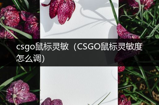 csgo鼠标灵敏（CSGO鼠标灵敏度怎么调）