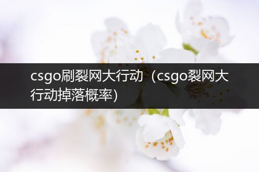 csgo刷裂网大行动（csgo裂网大行动掉落概率）