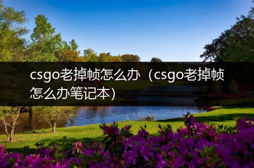 csgo老掉帧怎么办（csgo老掉帧怎么办笔记本）