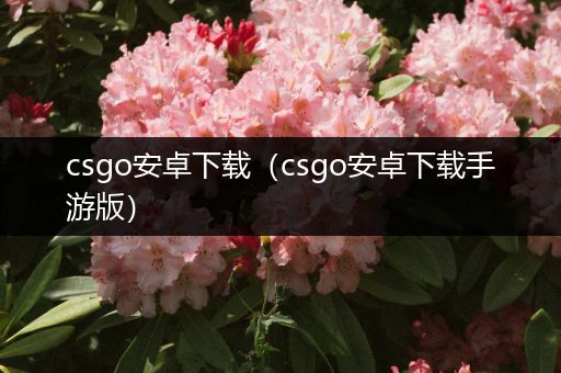 csgo安卓下载（csgo安卓下载手游版）