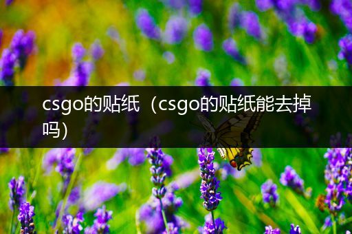 csgo的贴纸（csgo的贴纸能去掉吗）