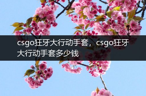 csgo狂牙大行动手套，csgo狂牙大行动手套多少钱