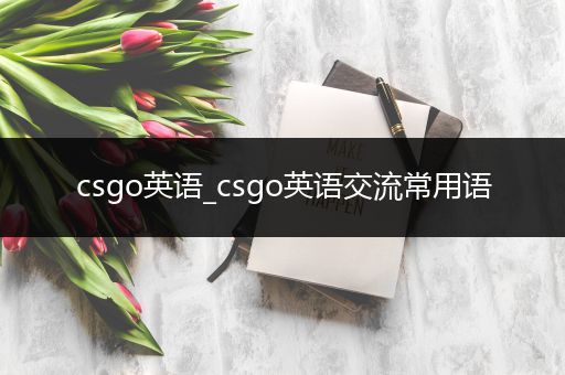 csgo英语_csgo英语交流常用语