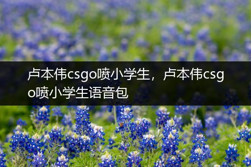 卢本伟csgo喷小学生，卢本伟csgo喷小学生语音包