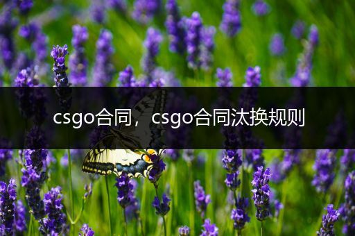 csgo合同，csgo合同汰换规则