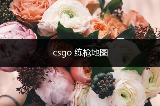 csgo 练枪地图